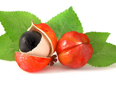 Какво е гуарана и какви са нейните свойства? - iStock 472508952