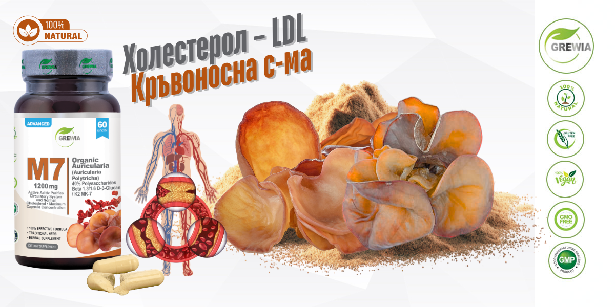 M7 Auricularia Mushroom Beta-Glucan K2 – хранителна добавка за кръвоносна система, холестерол LDL и имунитет от Grewia