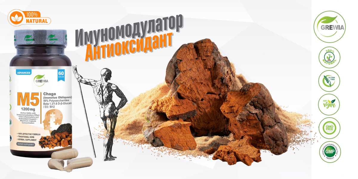 M5 Chaga Mushroom Beta-Glucan D3 B12 – хранителна добавка за имунитет и антиоксидантна защита от Grewia