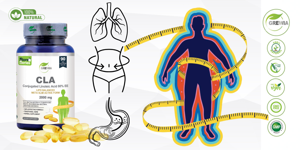 Хранителна добавка CLA – Conjugated Linoleic Acid 80% EE – Lipo Balanced Meta Slim Active Form – GMP Certified Product – 2000mg. Daily Dose за Отслабване, Редукция на теглото от Grewia