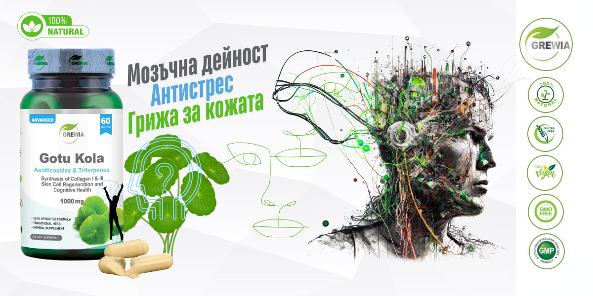 Gotu Kola 20% Triterpenes – мозъчна дейност, антистрес баланс и грижа за кожата от Grewia