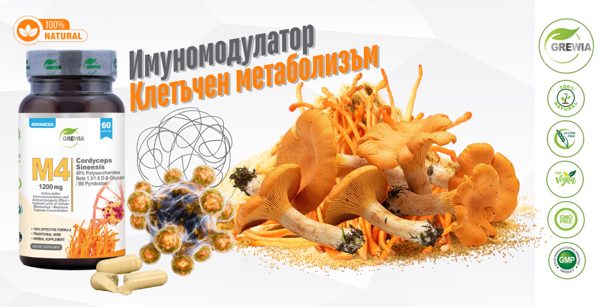 M4 Cordyceps Mushroom Beta-Glucan B6 – хранителна добавка за онкологични, имунитет и енергия от Grewia