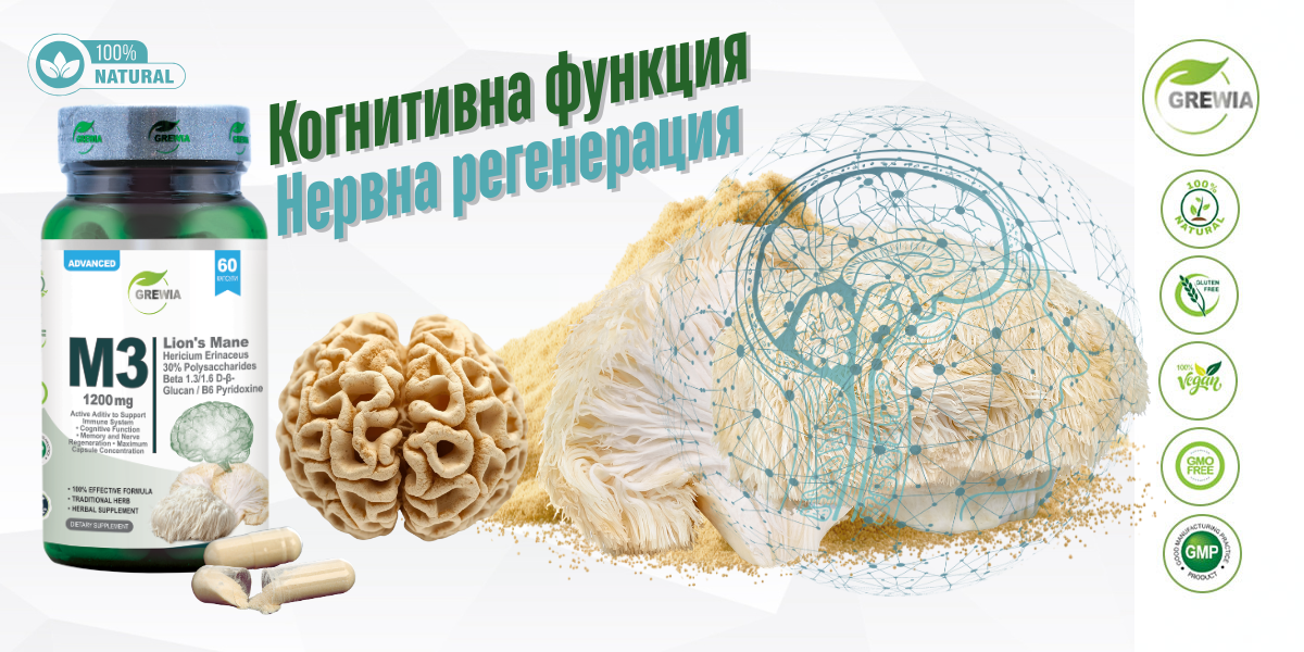 M3 Lion’s Mane Mushroom Beta-Glucan B6 – хранителна добавка за мозък, нервна система, когнитивни функции и имунитет от Grewia