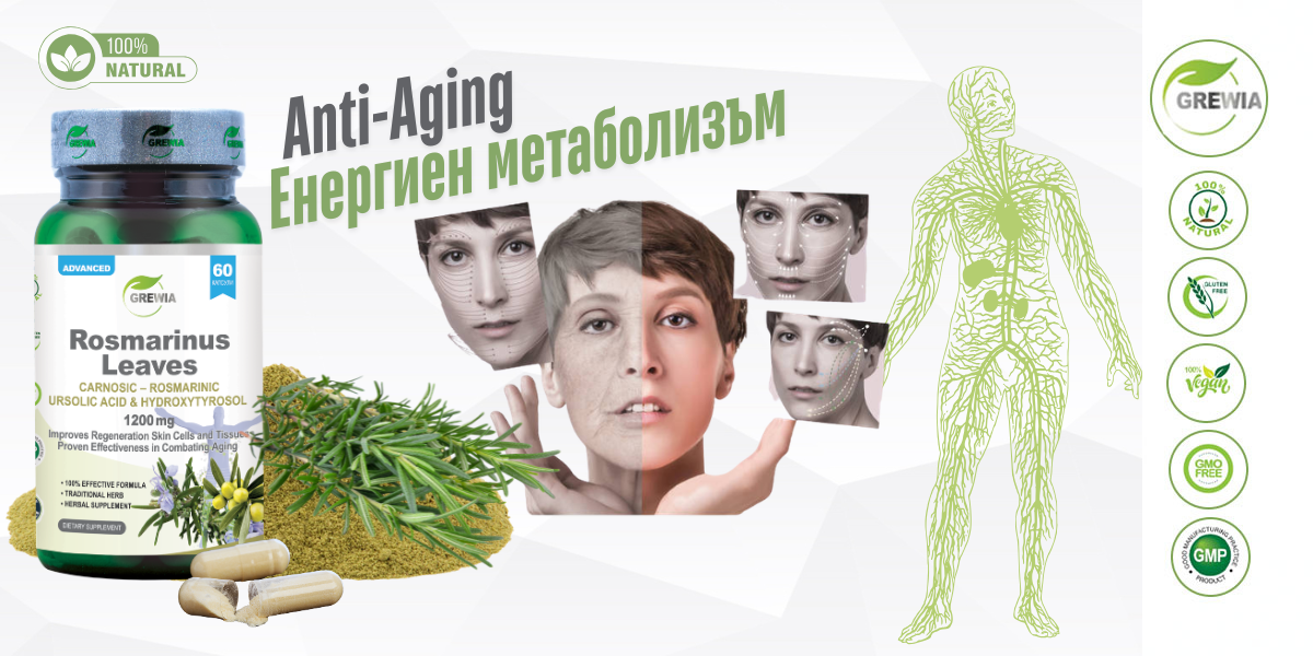 Rosemary Extract + Hydroxytyrosol – хранителна добавка за Anti-Aging, антиоксидантна защита и клетъчна енергия от Grewia