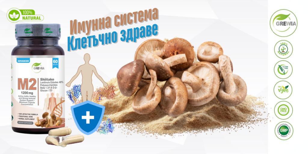 рак на белия дроб