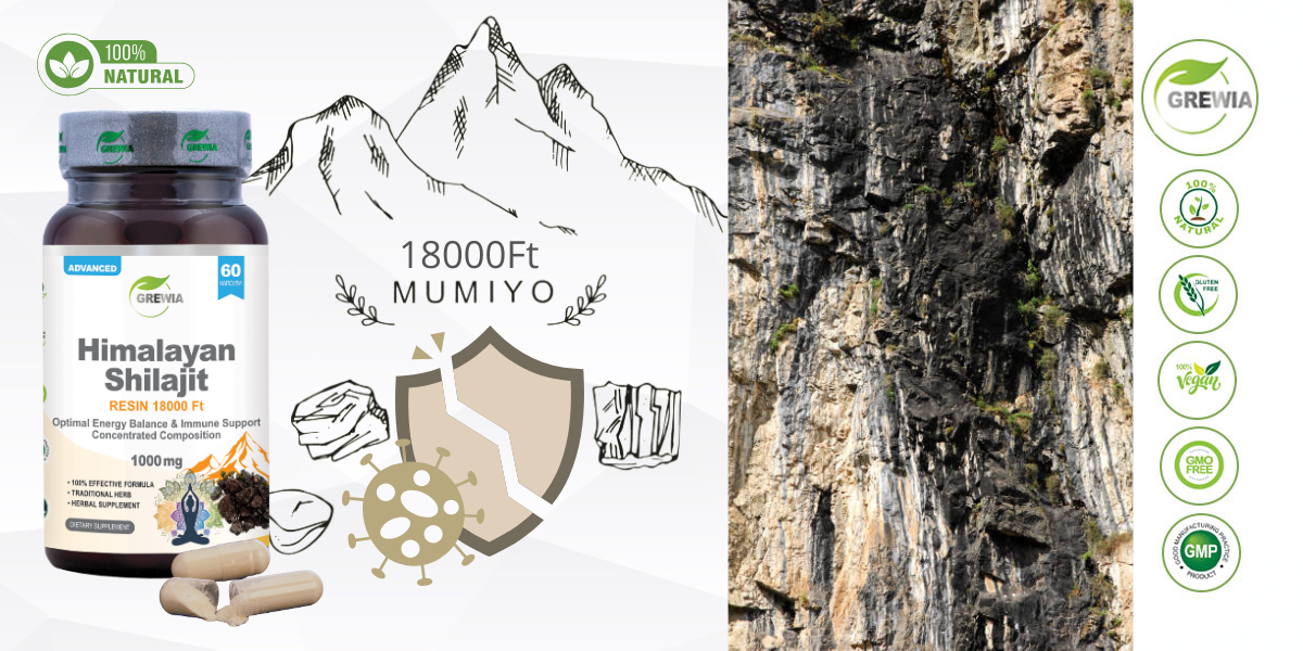 Himalayan Shilajit Resin 18000 Ft – енергиен баланс, имунна подкрепа и адаптогенна защита от Grewia