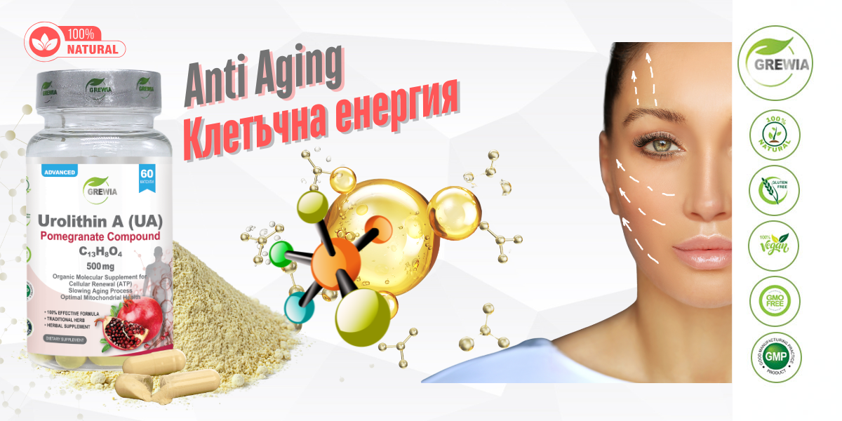 Urolithin A от Нар – хранителна добавка за клетъчно обновяване и Anti-Aging подкрепа от Grewia