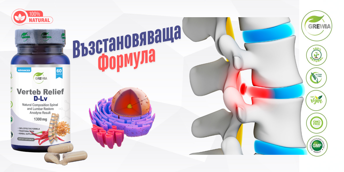 Verteb Relief D-Lv – подкрепа за гръбначния стълб, кръста и дисковия комфорт от Grewia