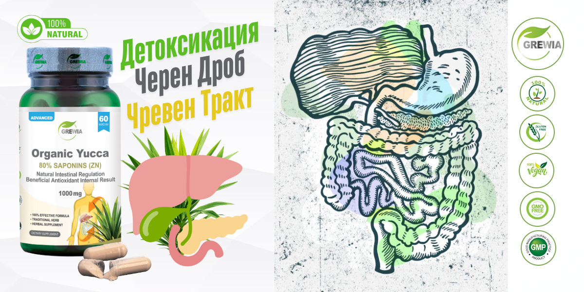 Organic Yucca 80% Saponins Zn – чревен баланс, детоксикация и подкрепа за черен дроб от Grewia