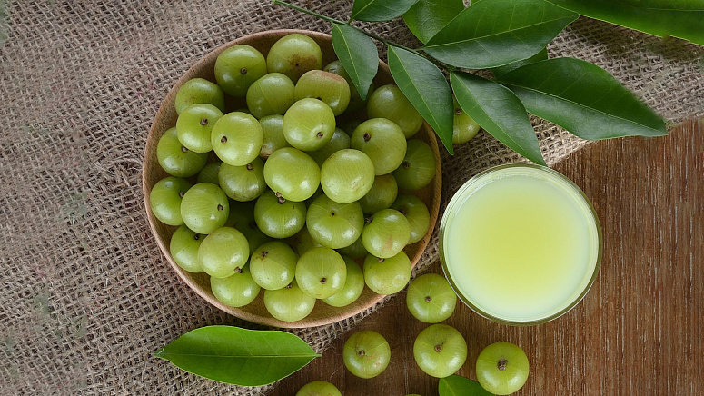 индийско цариградско грозде