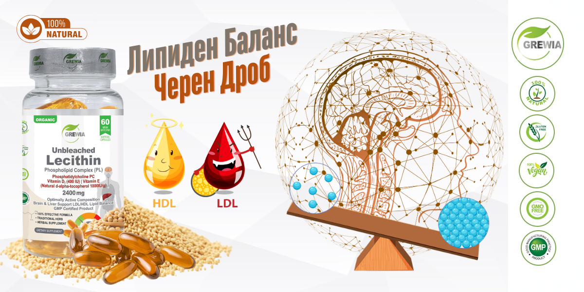 Lecithin Phospholipid Complex 2400mg – хранителна добавка с фосфатидилхолин за мозък, черен дроб и холестерол от Grewia