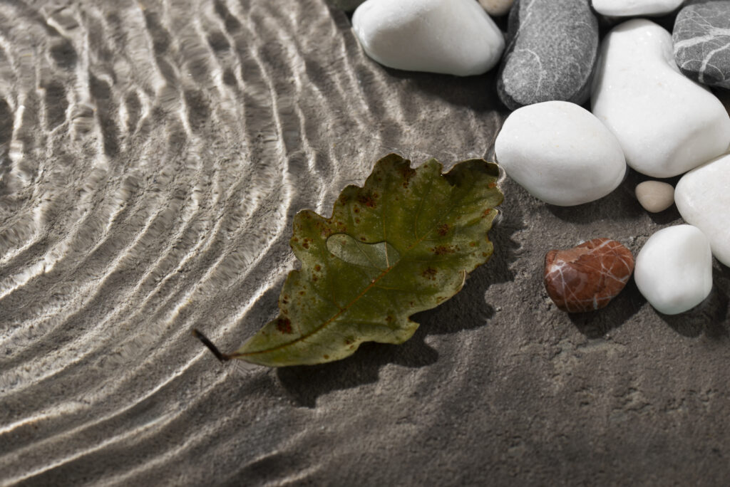 Най-добрата форма на цинк